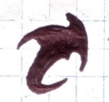 Logo Giuba Originale